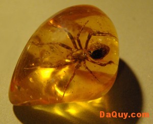 ho phach amber 300x243 Hổ Phách (Amber) và đặc tính, tác dụng chữa bệnh (theo dân gian)